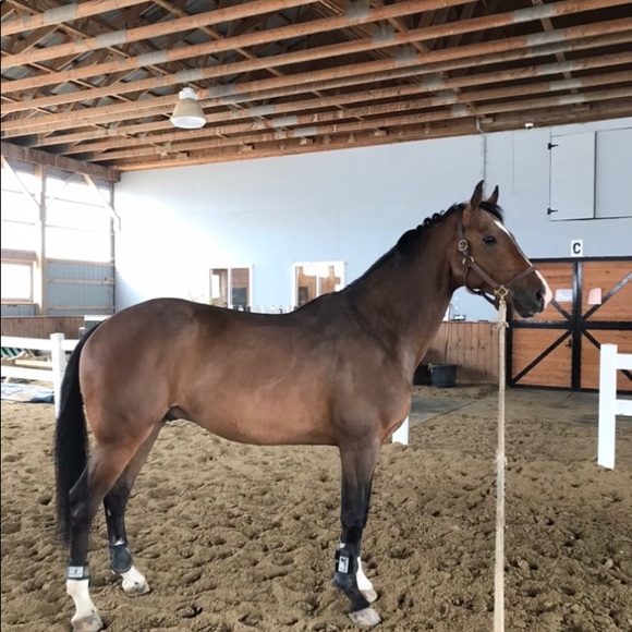 Hi welcome to Pam’s Preloved - Picture 6 of 7